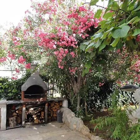 公寓 Croatia Borik Big Family With Garden View Number 6 扎达尔